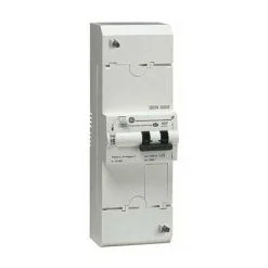 MICHAUD Disjoncteur De Branchement Différentiel - Sélectif - 2P - 45A