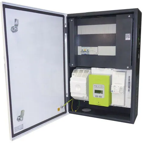 MICHAUD ARMOIRE PARKBOX 7 MONOPHASEE AVEC PRISE TYPE 2S (GE100) 1 MICHAUD ARMOIRE PARKBOX 7 MONOPHASEE AVEC PRISE TYPE 2S (GE100)