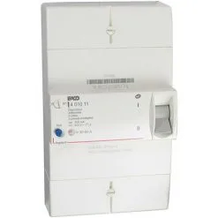 MICHAUD Disjoncteur TETRA 60A Instantané (N467)